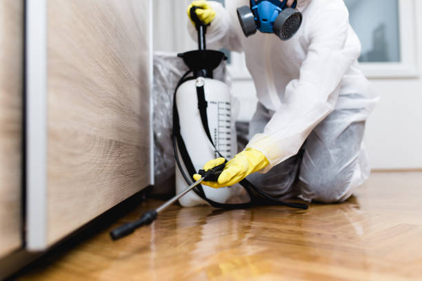 Best Affordable Pest Control Services  in La Honda, CA