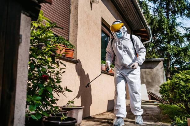 Flea Control Services in La Honda, CA