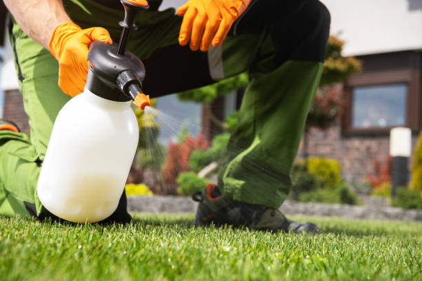 Best Emergency Pest Control  in La Honda, CA