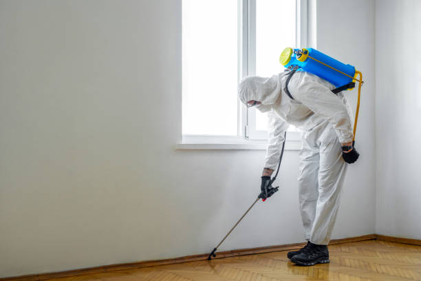 Best Affordable Pest Control Services  in La Honda, CA