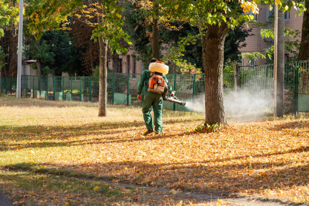 Best Pest Removal Services  in La Honda, CA
