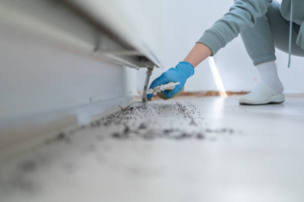 Best Commercial Pest Control Services  in La Honda, CA