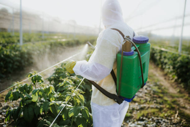Best Flea Control Services  in La Honda, CA